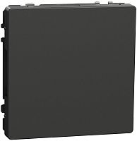 Заглушка без рамки Schneider Electric Merten D-Life антрацит картинка